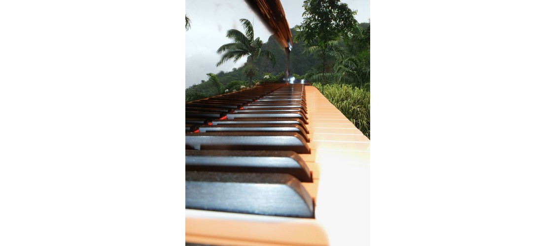 Piano keys in Jungle